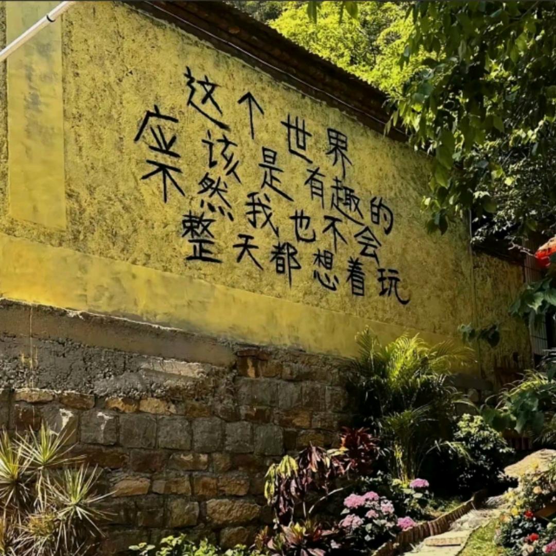 周是周周的周