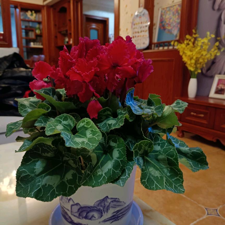 你若安好便是晴天