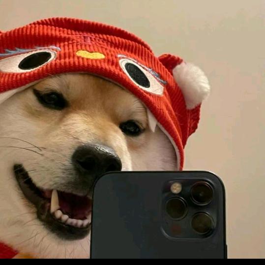 河南辣王