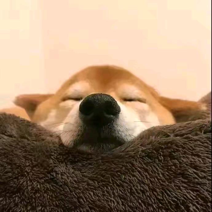 清渡