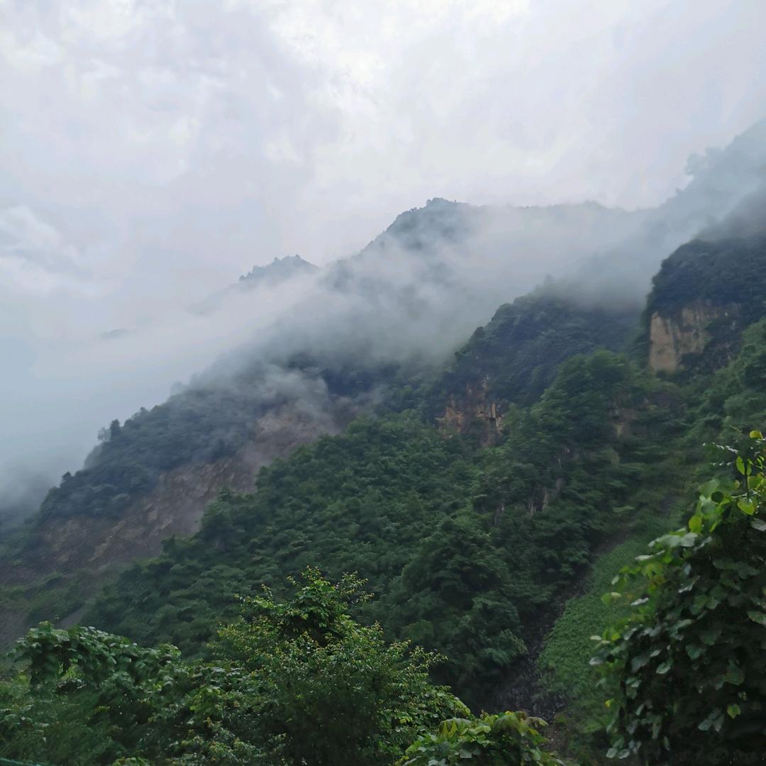 🔥一路有你66🐬