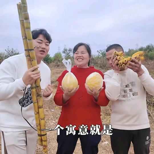 迈合村日常