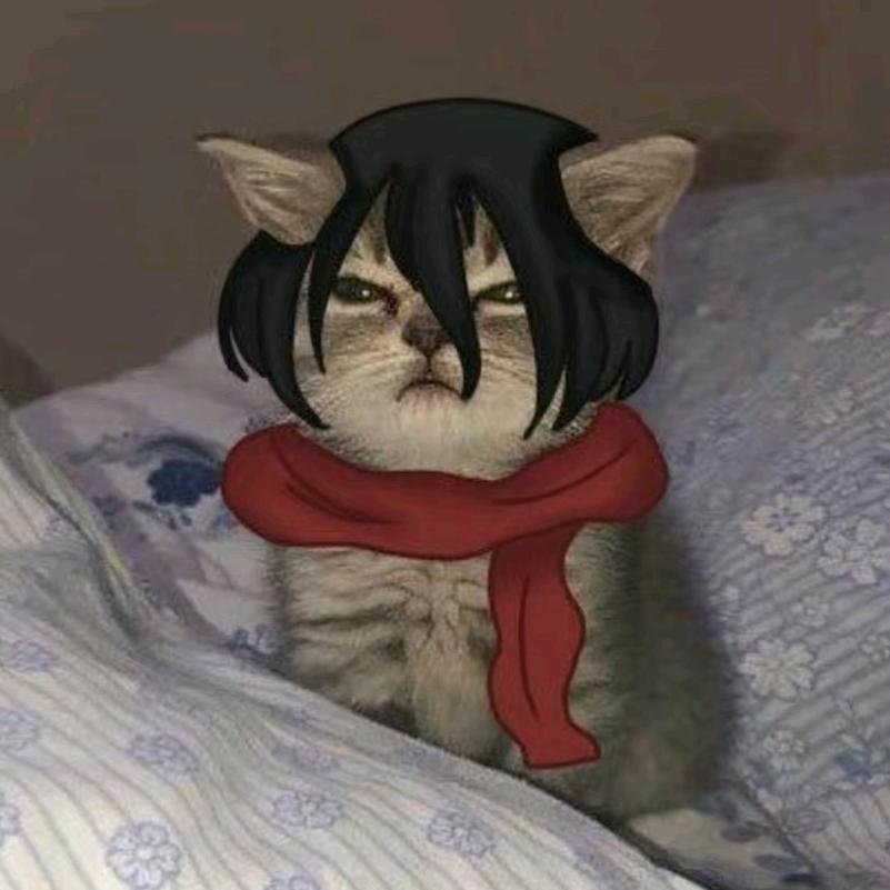 咪卡萨