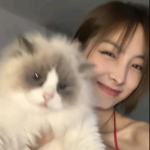 欣子精神