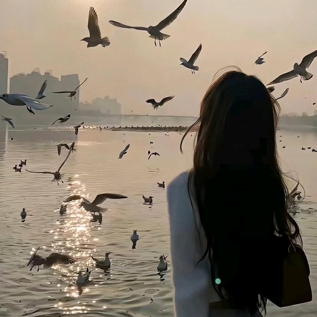 老阿姨🖤