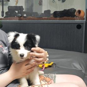 6️⃣6️⃣和饭桶🪣