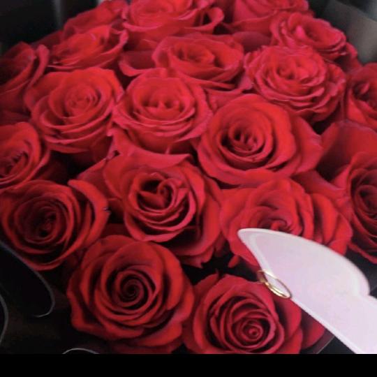 ❤️❤️❤️❤️❤️