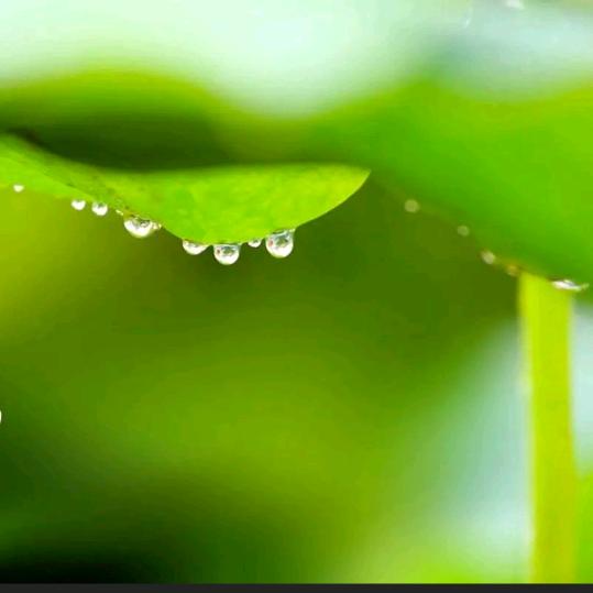 清清淡淡