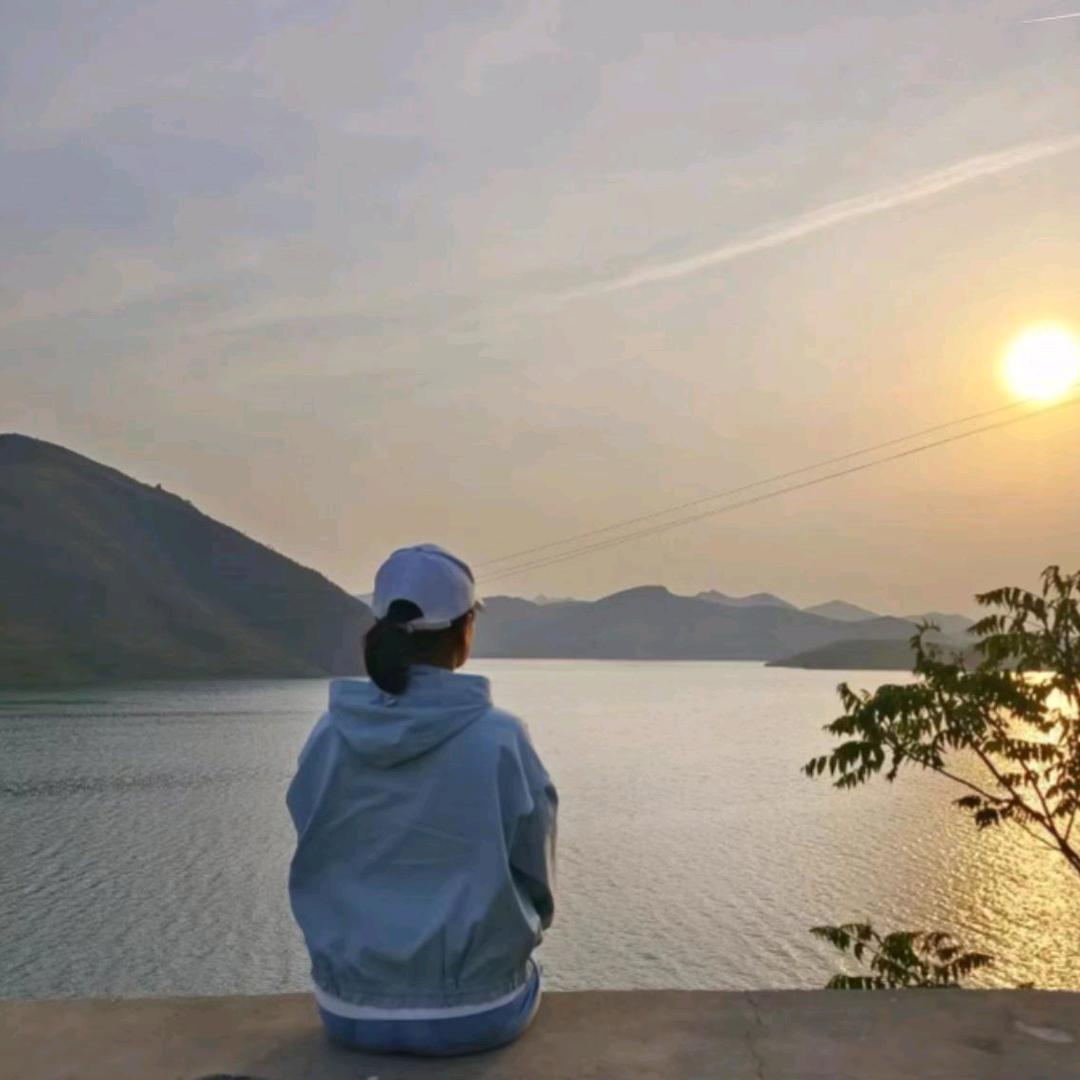 随心远行