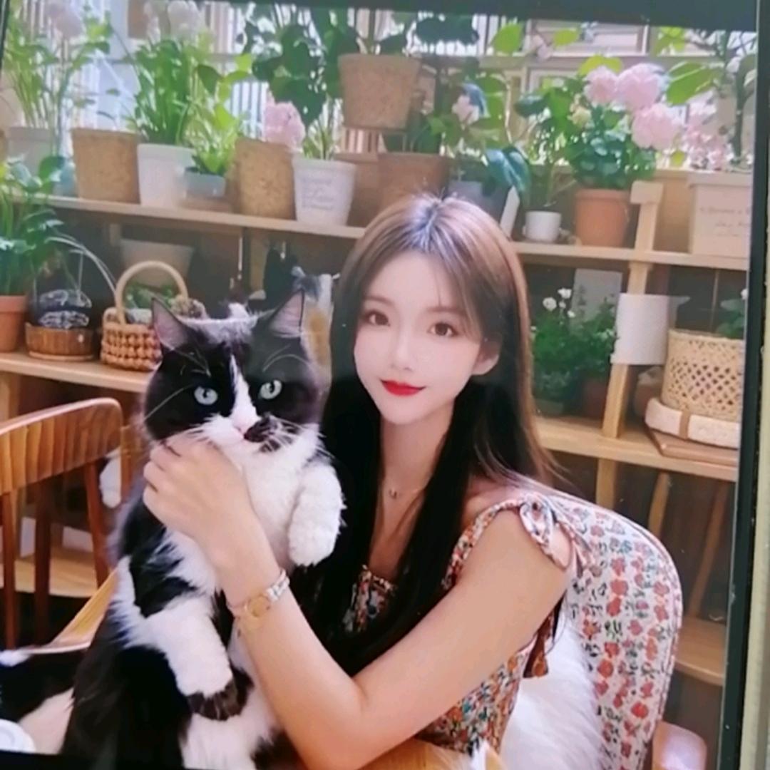 小羊羊