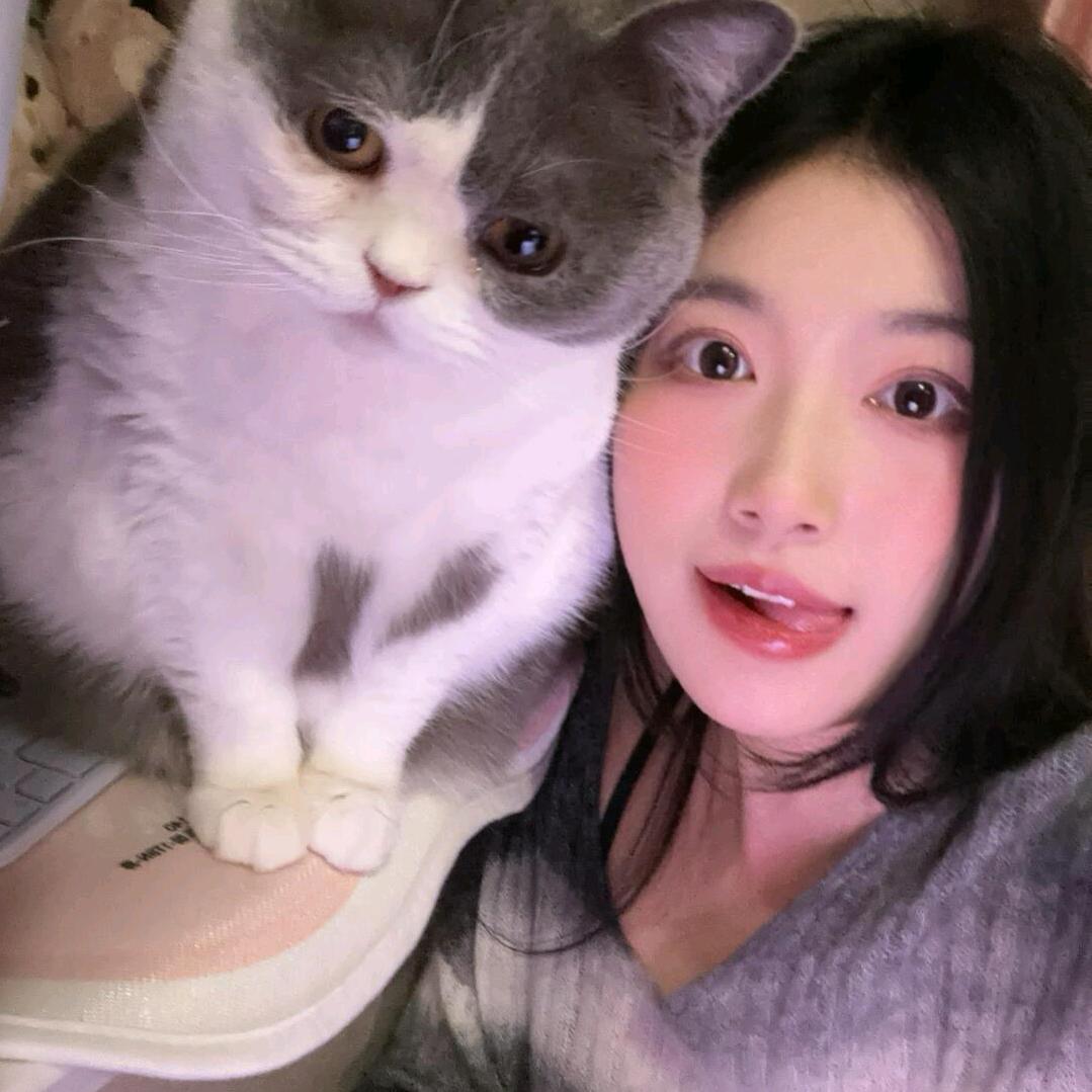 昆明安安