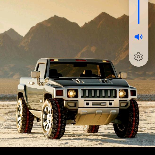 一条会飞的鱼。