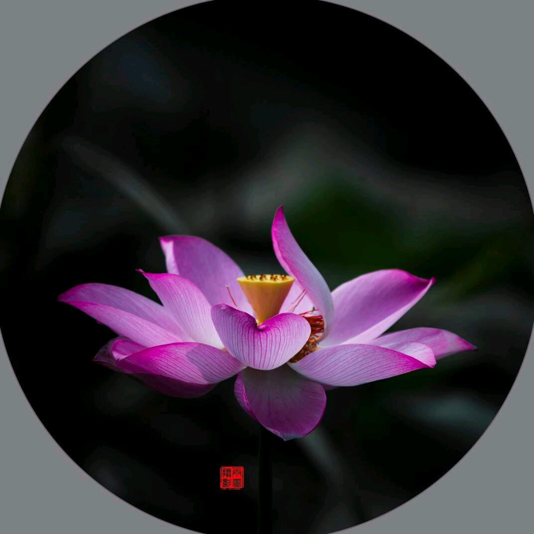 灵修