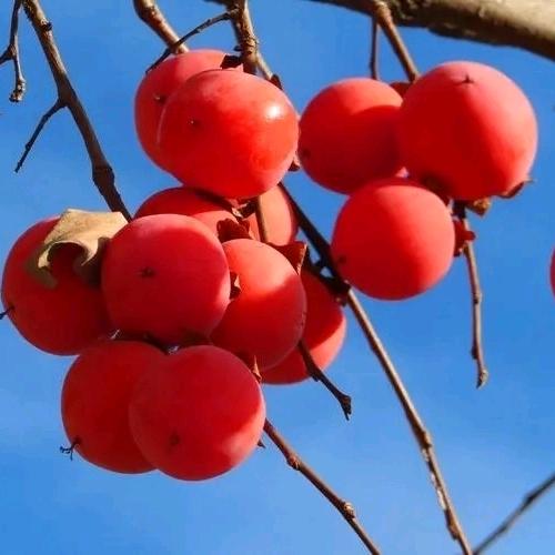 云淡风轻