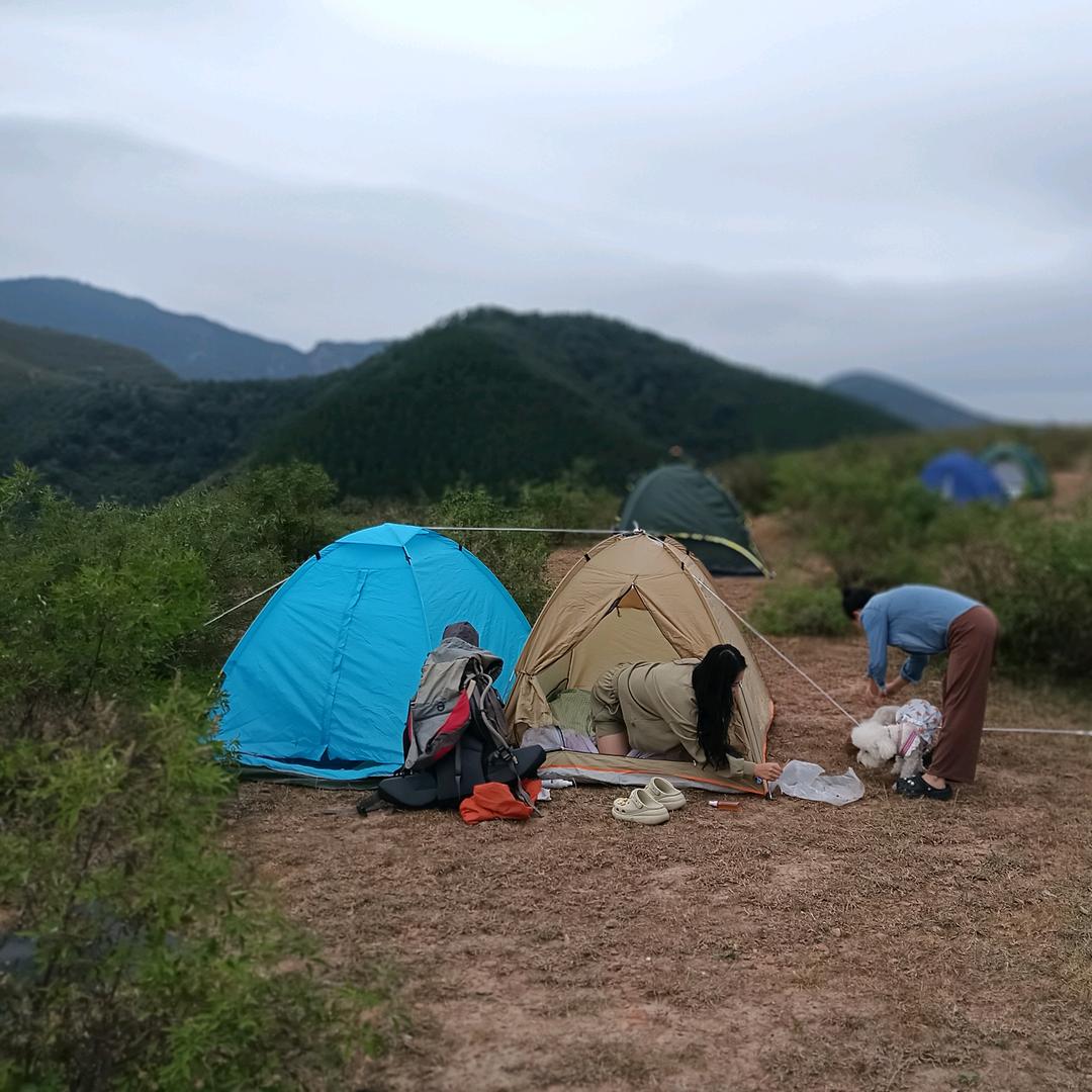高兴露营