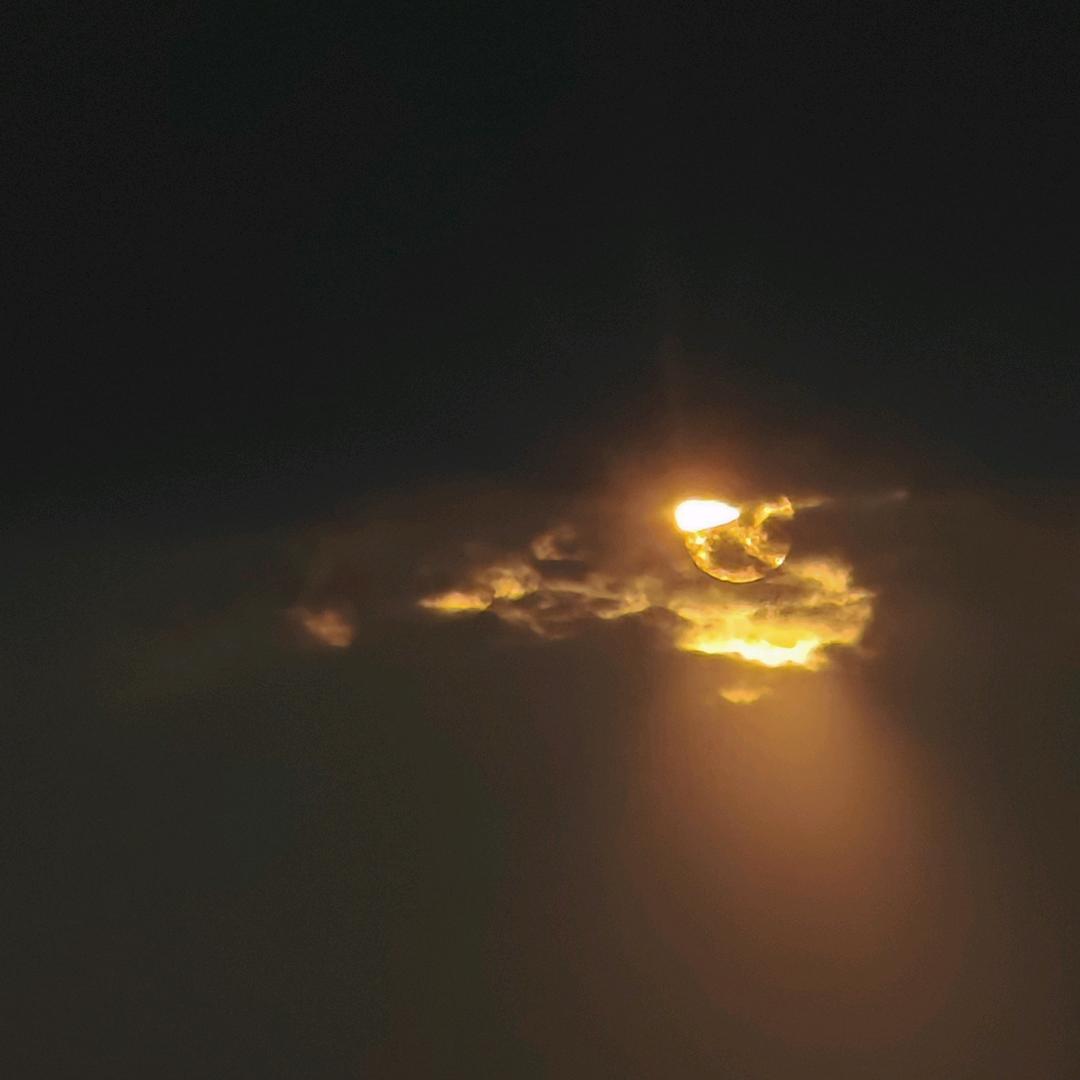 奋斗中