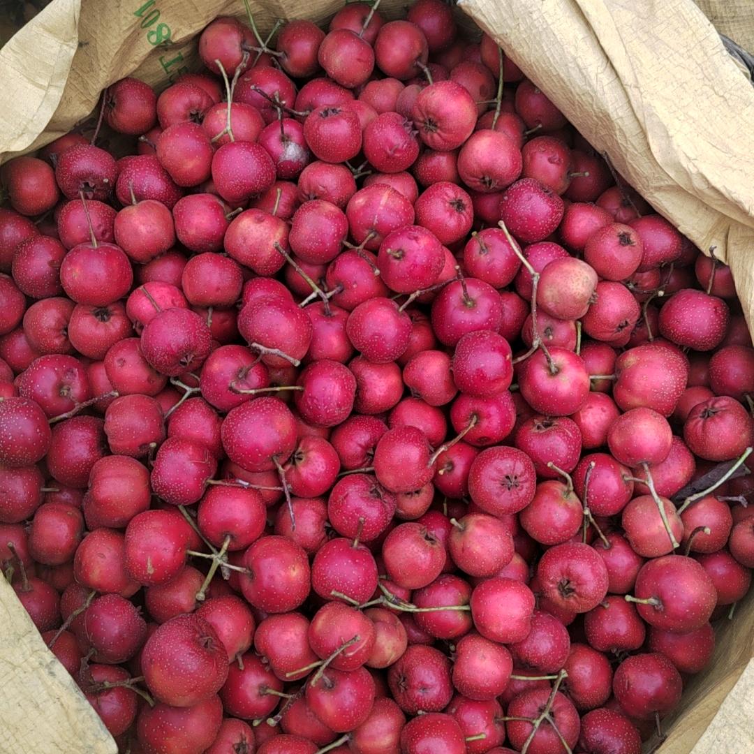 ❤️訫给憶中人