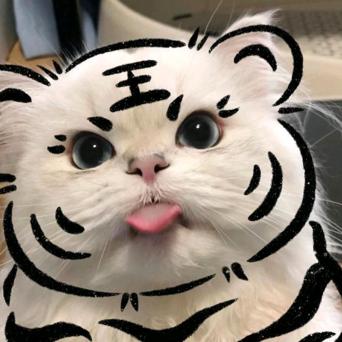 小鱼不快乐