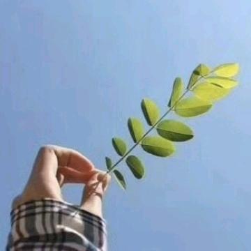 抖音江湖