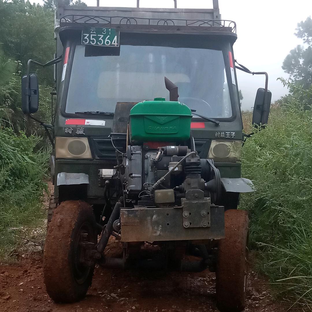 农村，农民，农业，戴