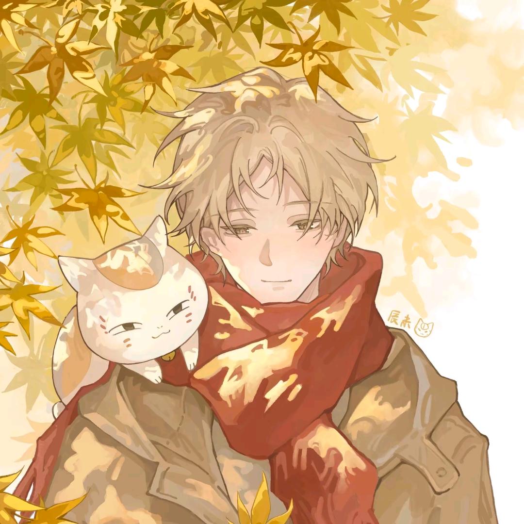 猫猫头