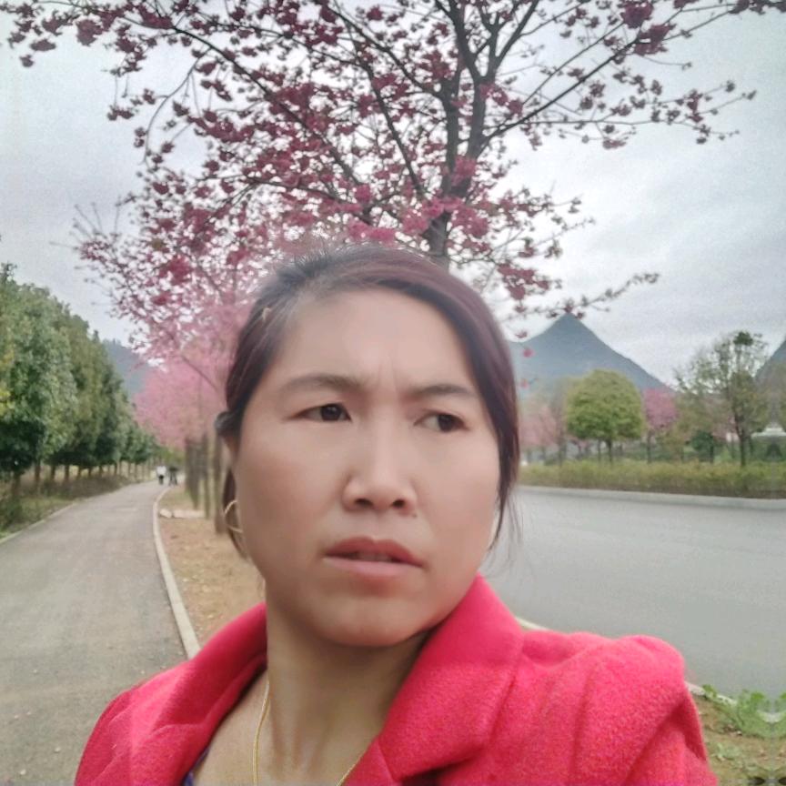 贵州黄姐   (拒绝私聊)