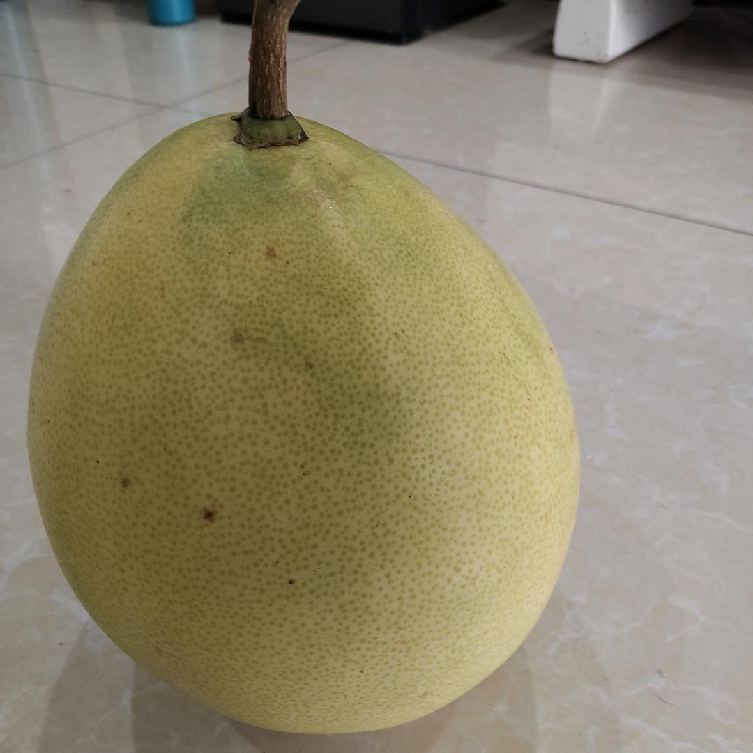 许柚子