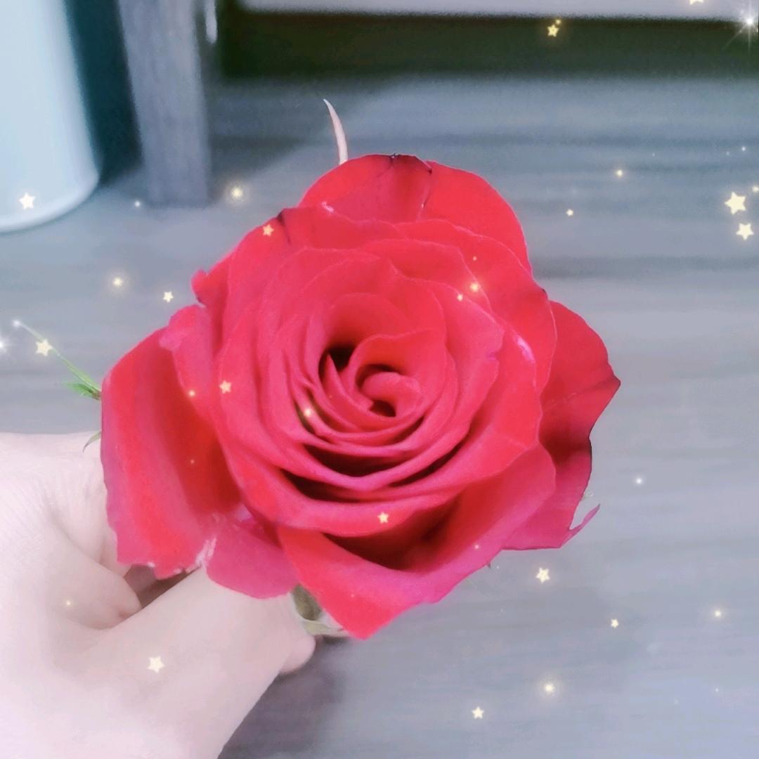 ₃᭄傻丫💞꧔🕊头ₒꦿ᭄ღ໑ຼ₂