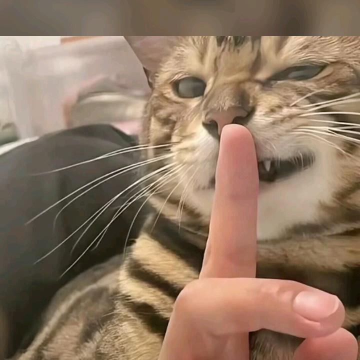一般爱恋如火