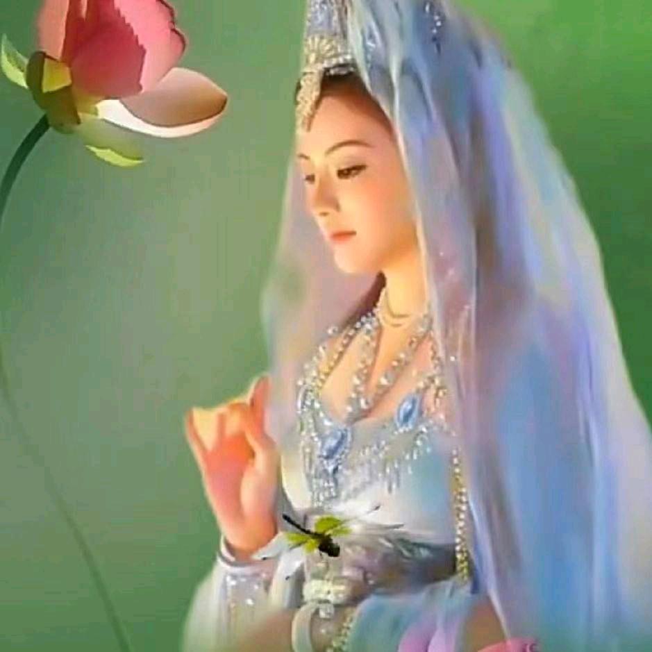 天天直播