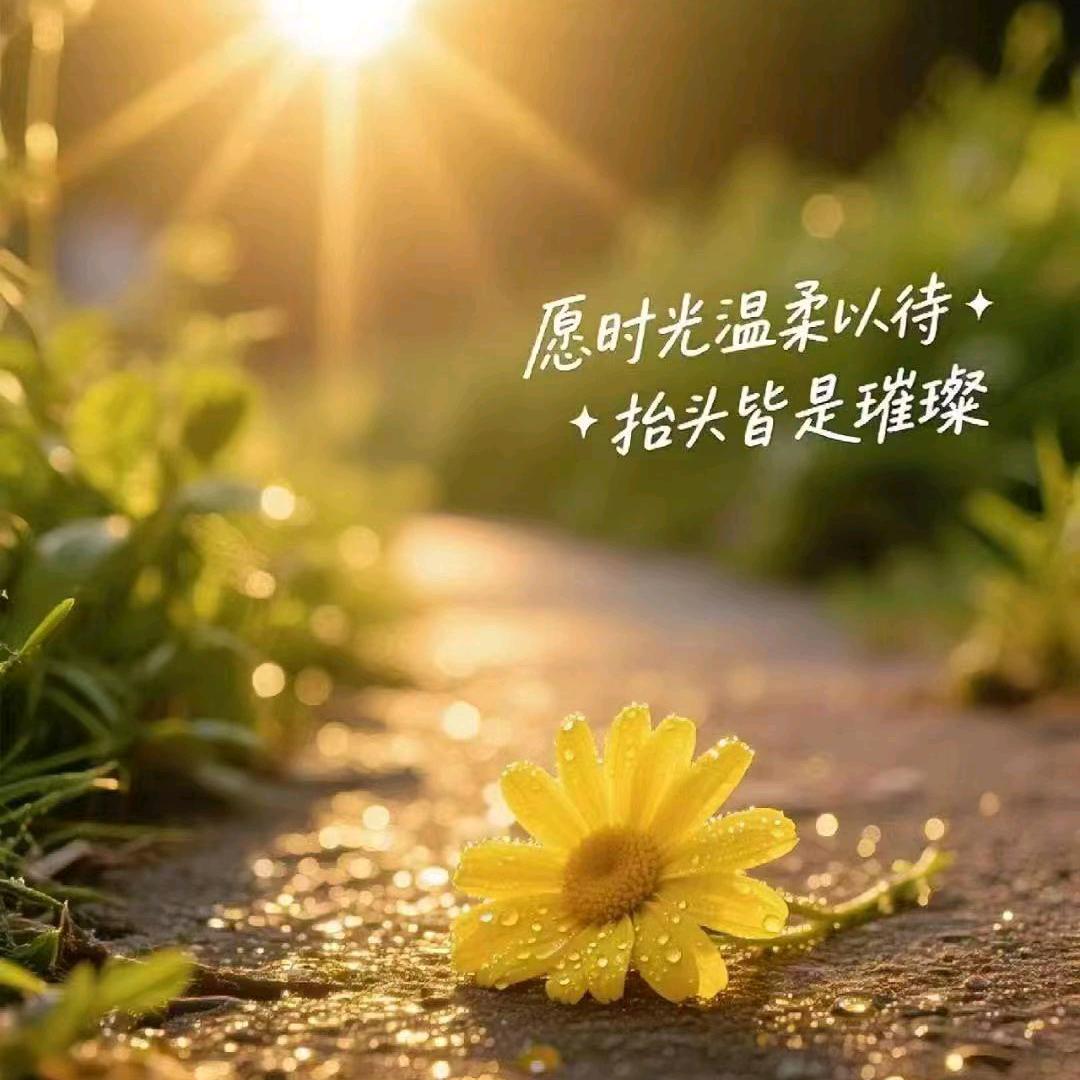 中华大地