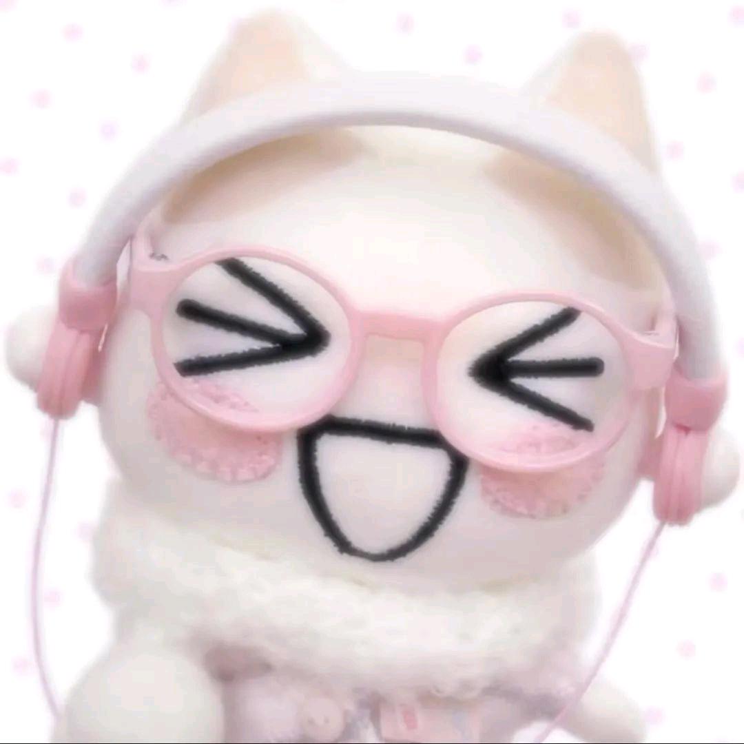 进击的Kitty学姐