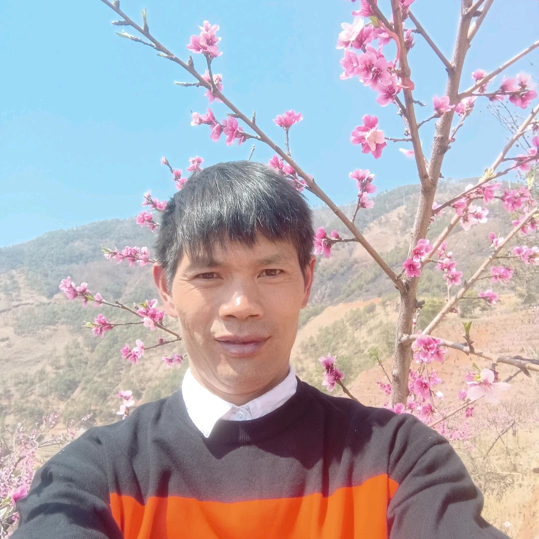 大寨中国联通营业厅