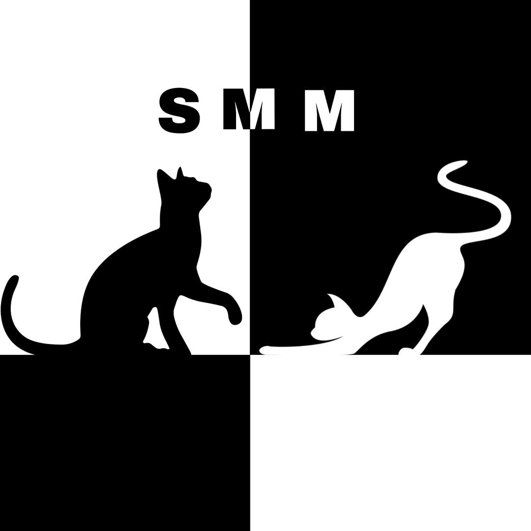 双面猫