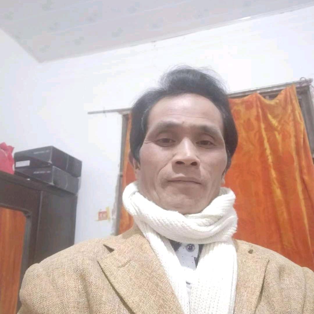 柳金发