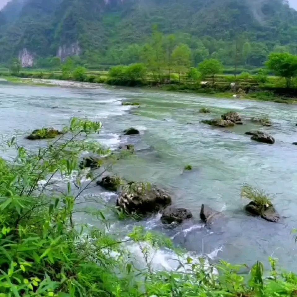 山水