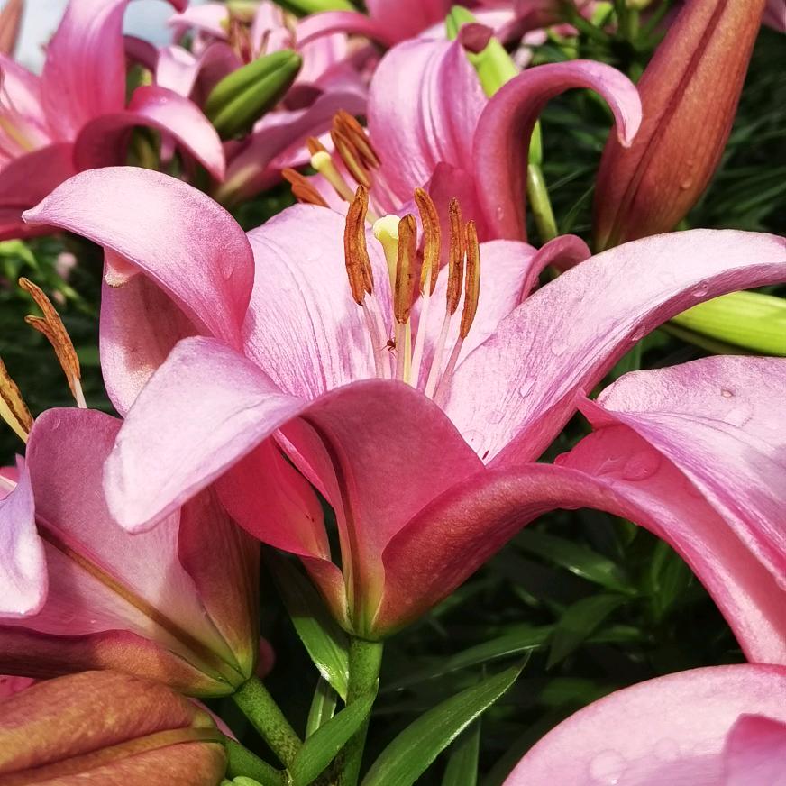 ල᭄💞微ོ笑ꦿ᭄💞࿐