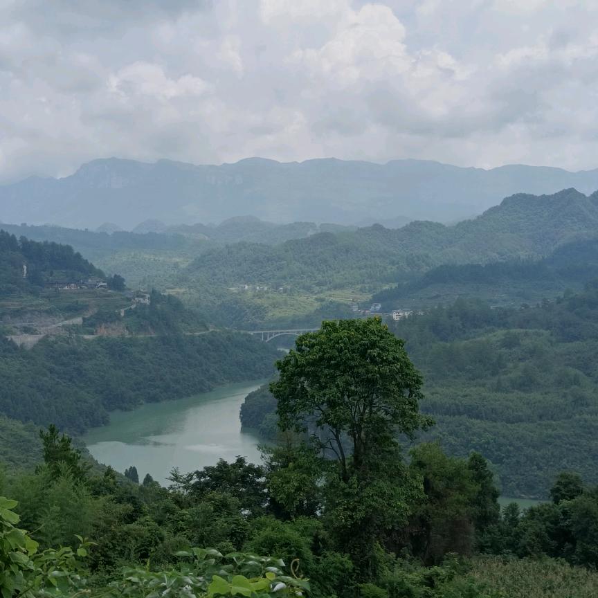 酉李酉我
