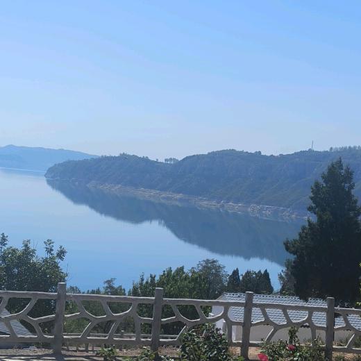 生活不易且行且珍惜（拒私聊）