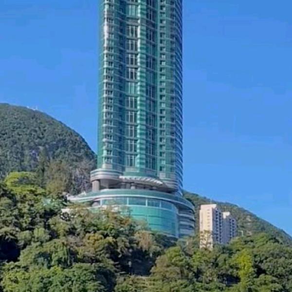 明天一定美好