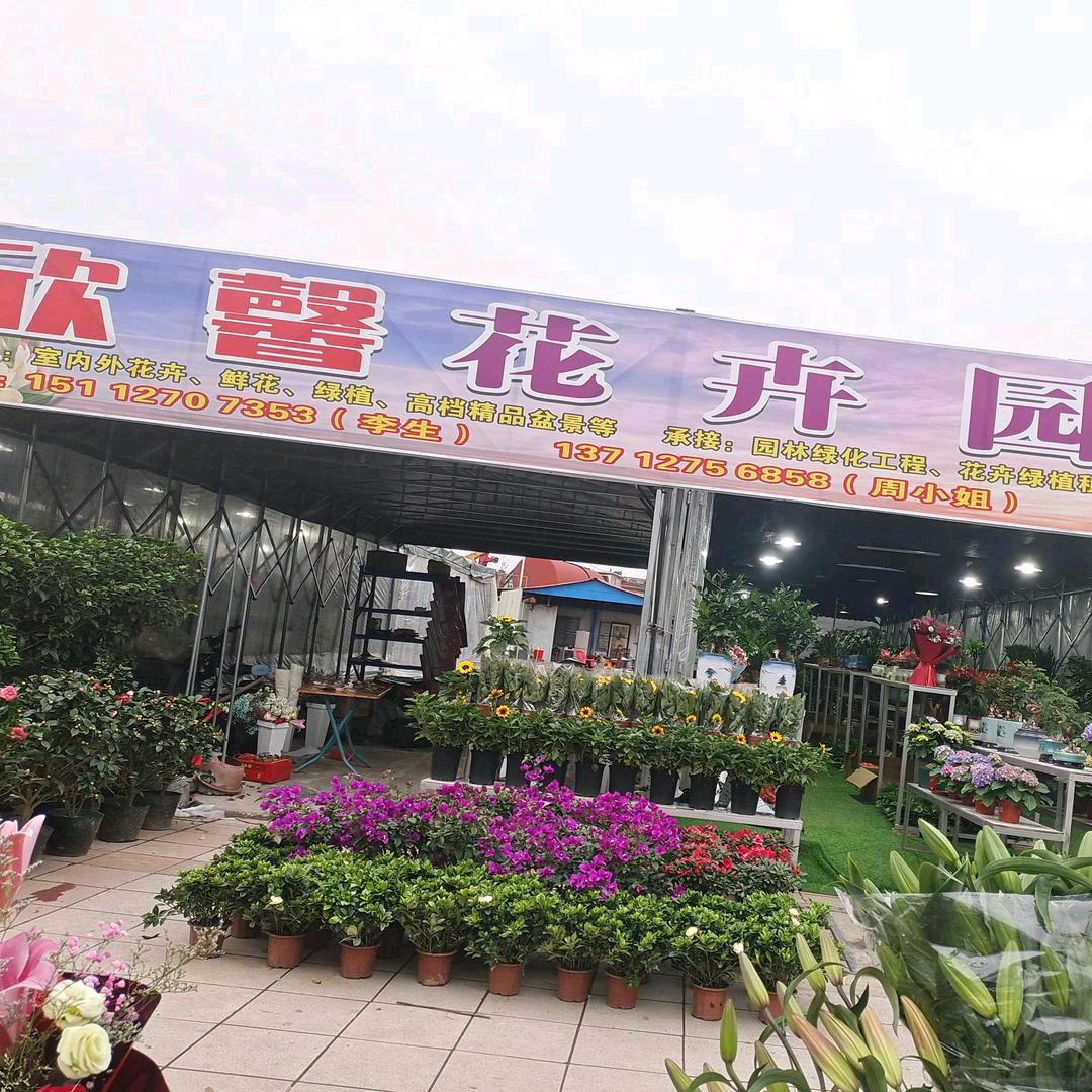 欣馨花卉园艺