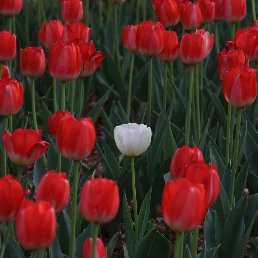 ❤️挚❤️爱💕