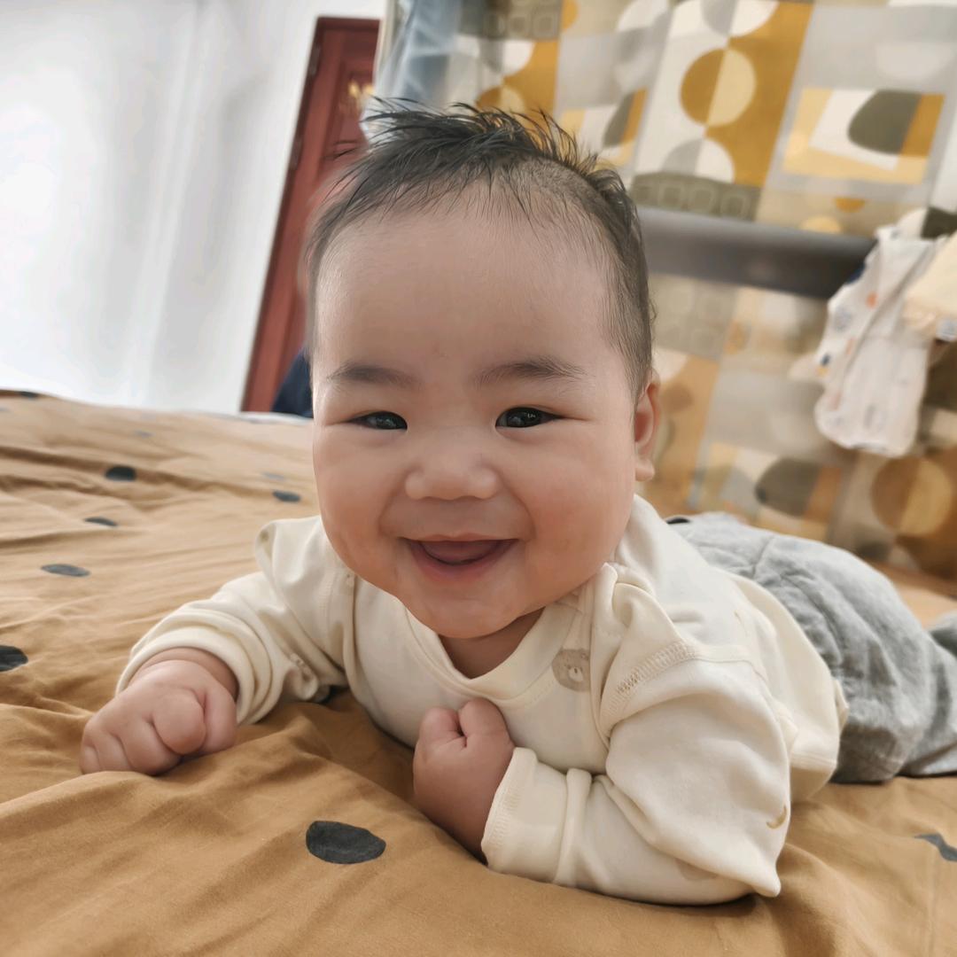 窑鸡 五谷杂粮鸡