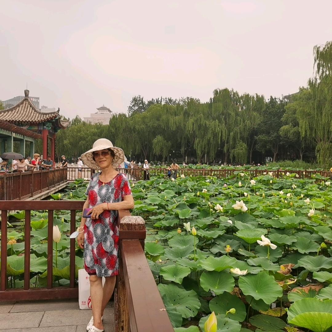 和婵