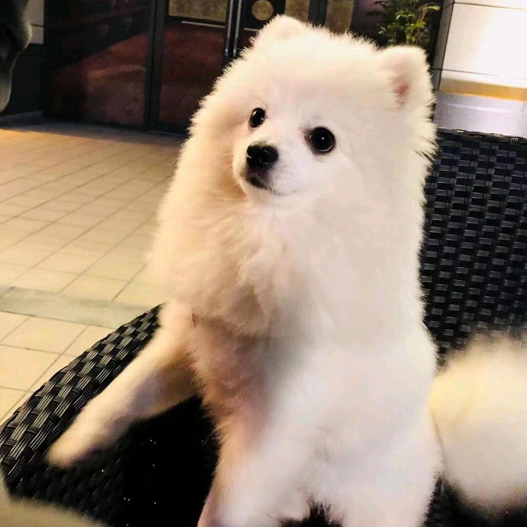 🐮爱喝牛肉汤吖🐮