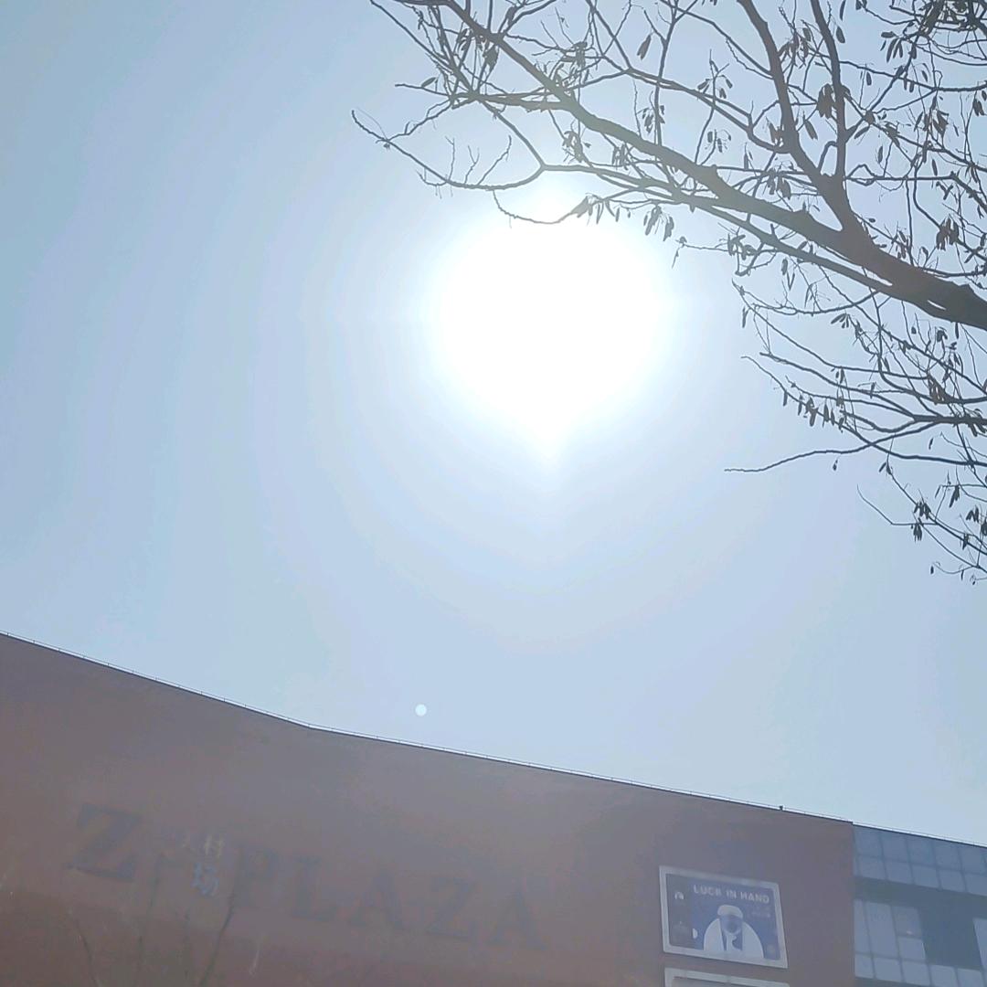 墨宬