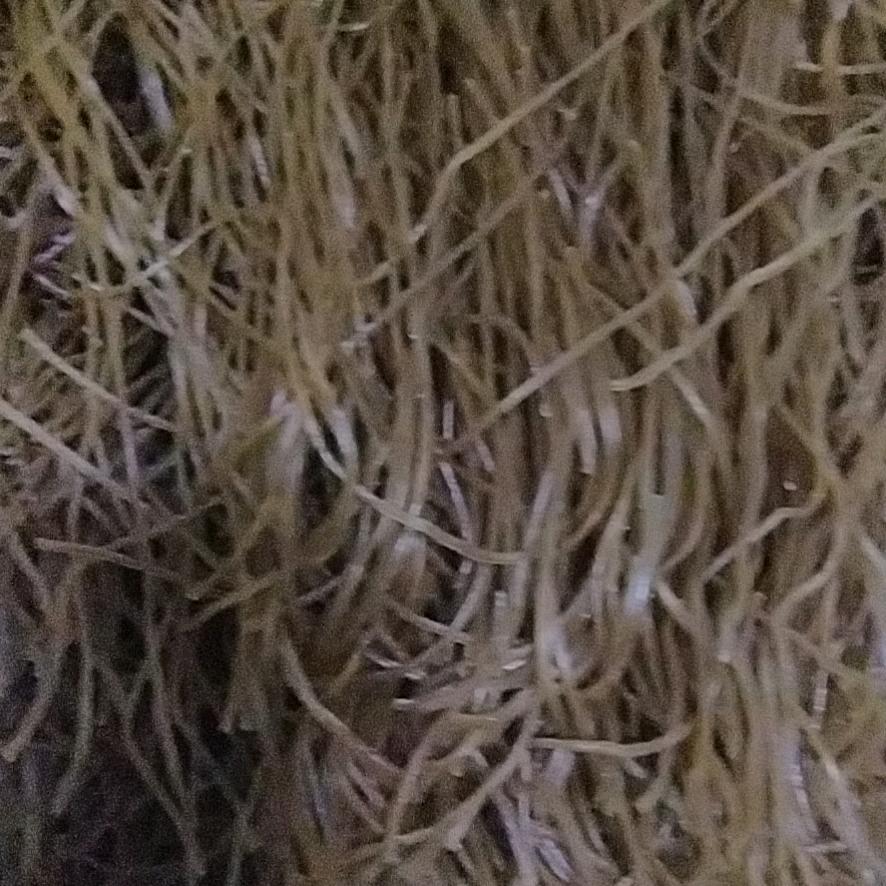 东明三春集 高寨红薯粉条