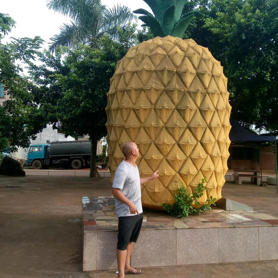 东哥凤梨