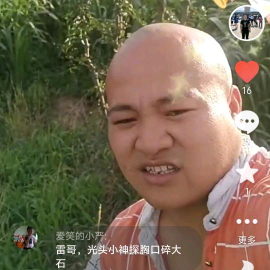 光头强