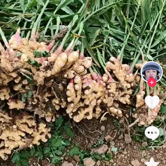 有钱真好能买爱情